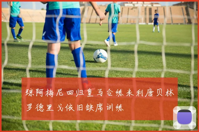 琼阿梅尼回归皇马合练米利唐贝林罗德里戈依旧缺席训练